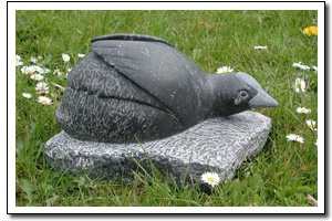 Territorial behaviour